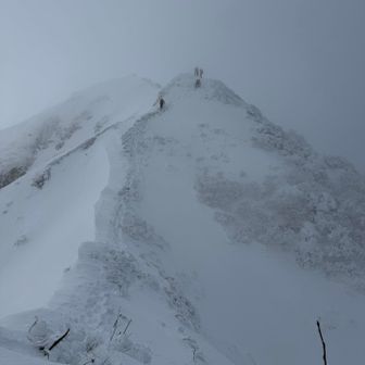 しかし
すぐ白くなってしまう