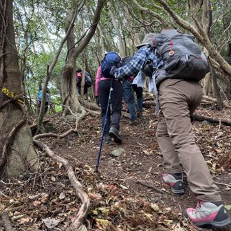 登山口から中々の急登が迫る