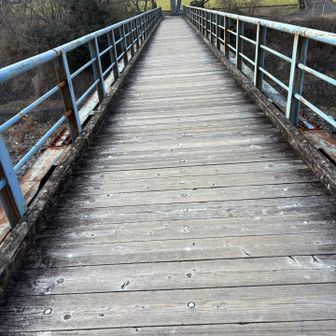 間に合わない　諦めました😭