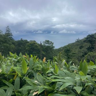 おーっと支笏湖の雲がなくなってきた