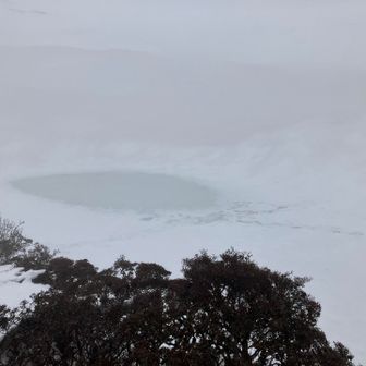 池！ガチガチに凍ってます