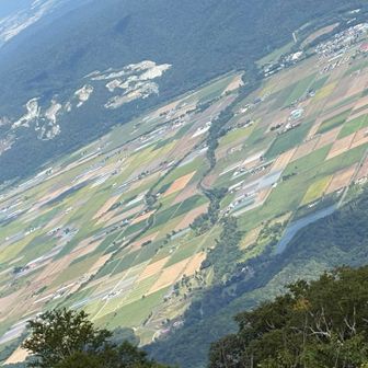 半面山からの景色
拡大してみたら、パッチワーク状態🥰