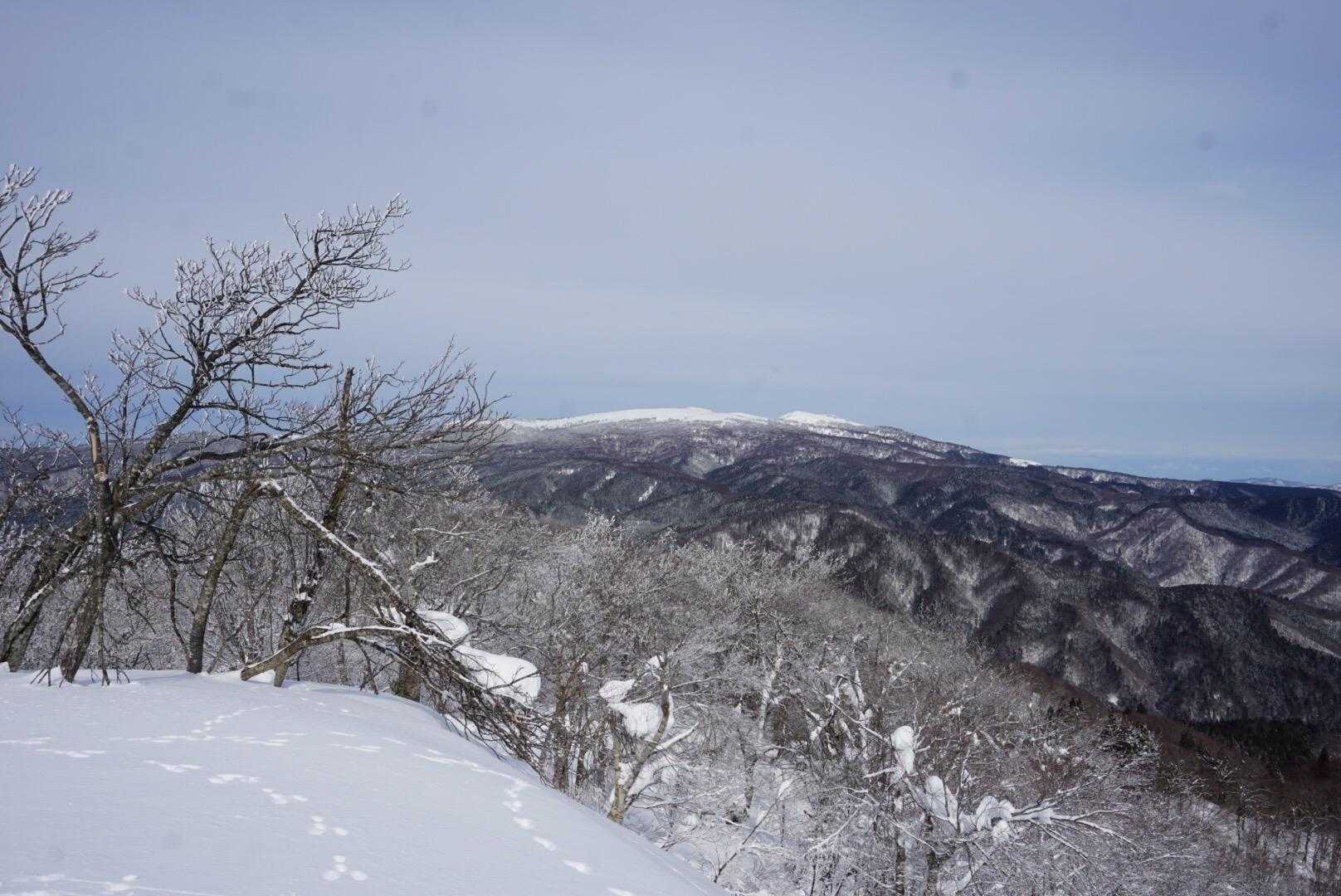 ちょっと晴れてきた。