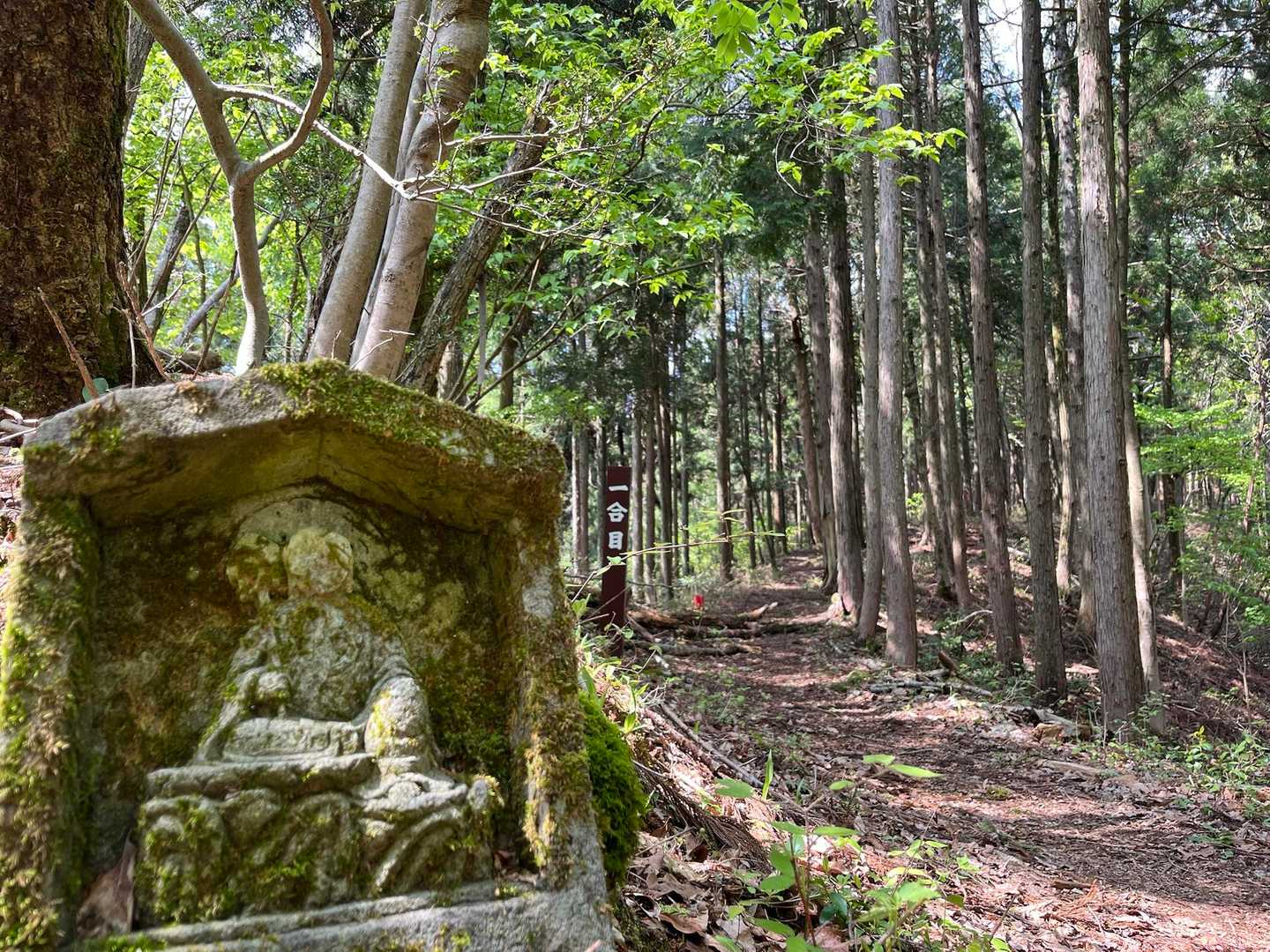 行ってきますね〜