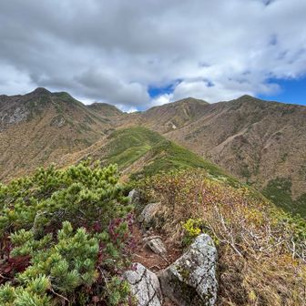 山頂方向の景色は、これで見納め。バイバイ。