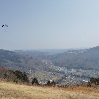 そーれ！あれパラグライダー!!