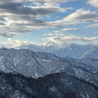 ちょっと見えてきたかな。
これはこれでいい感じ。