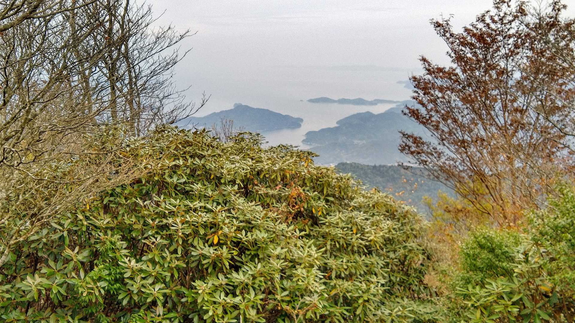 山頂から見た宇和海