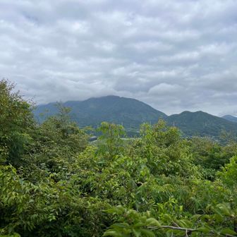 宝満山方面を望みます
