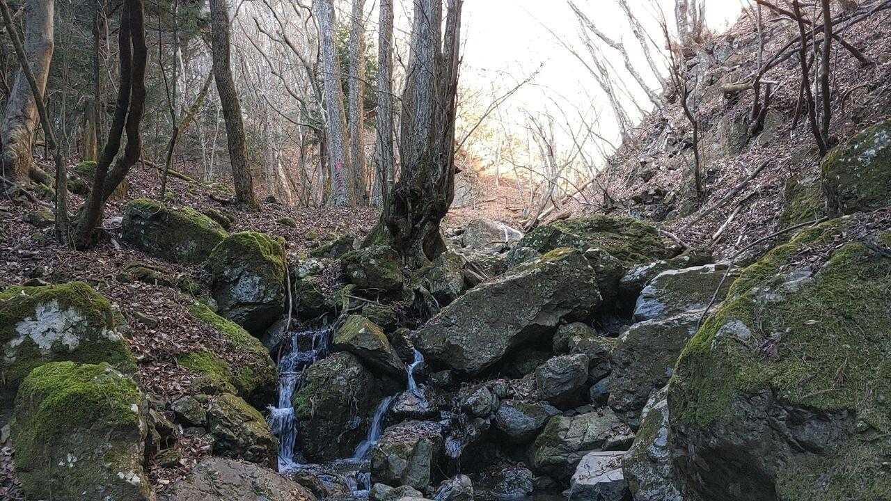 旧御坂峠-黒岳 周回コースの写真