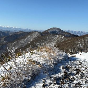 向かう大将旗山