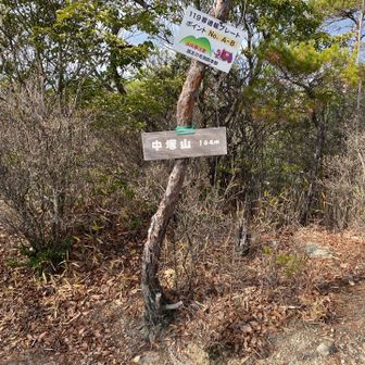 ここは、ピークだけ取りにきました。