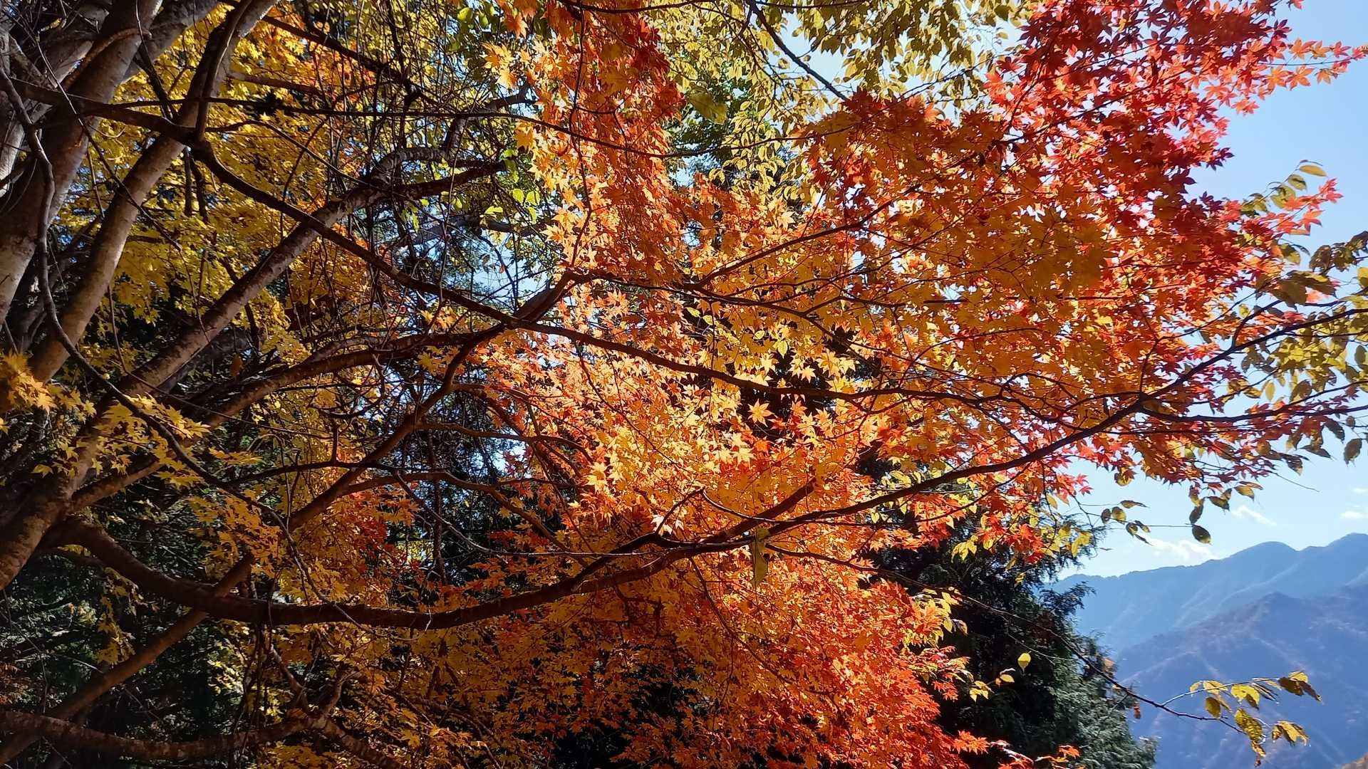南天山登山口-南天山 往復コースの写真