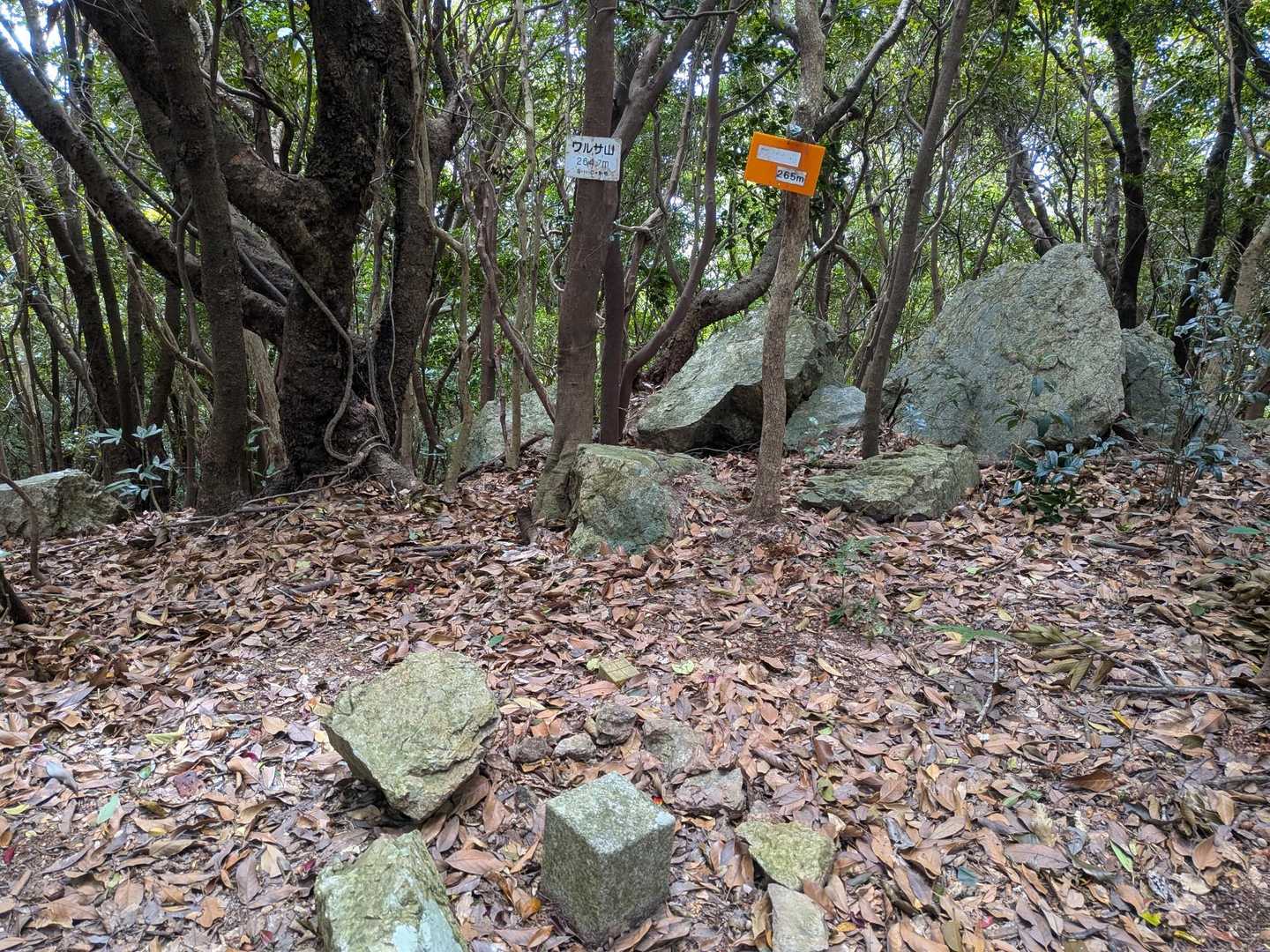 展望所からの広場から少し登ると山頂です。
眺望はありません。
それで広場手前に展望所が作られたのかな？