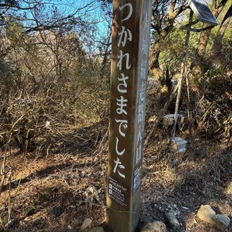 労って貰えます♪