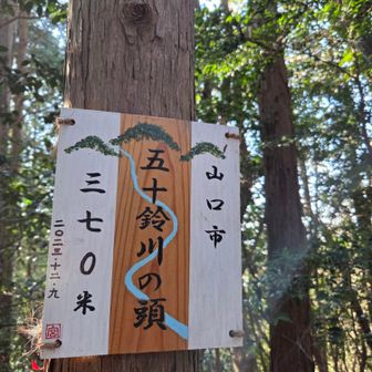 ⑥五十鈴川の頭