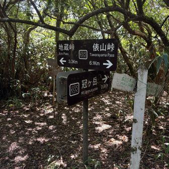 分岐から冠ヶ岳へあと800m