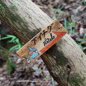 下イナダ山の取り付き