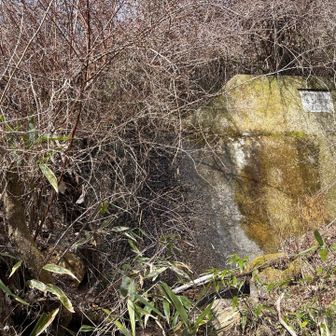 六甲山・長峰山・摩耶山 堰堤
⬅️