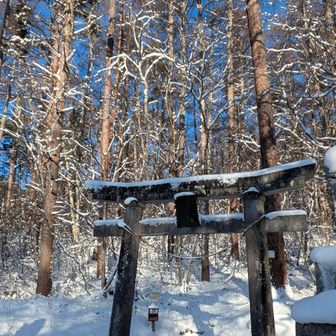ここまで車で来れる