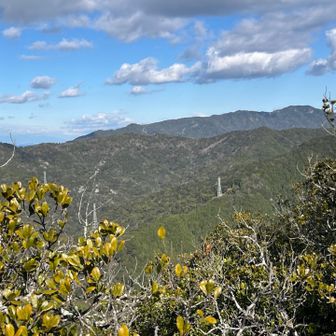岩場を少し東に寄ると
馬坂山～鐘叩山背後に鷲嶺