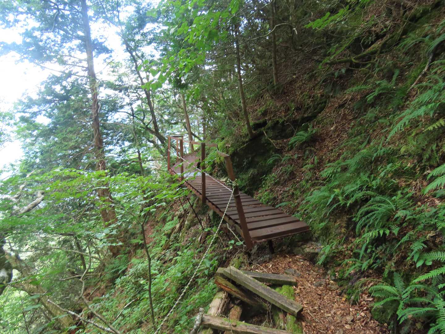 戻って筒上山の方へ
名物の錆びた鉄板の橋が登場