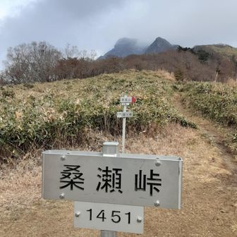 風が直接当たらないところに考えられて開けた場所がある感じですね！大昔は伊予と土佐の街道があったそうです
