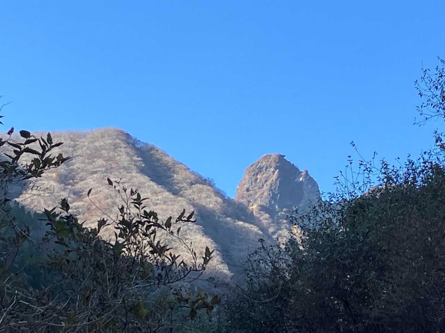 登山口へ下山ᨒ𖡼.𖤣𖥧

あんなに途中見えなかった、根子岳と南峰ᨒ𖡼