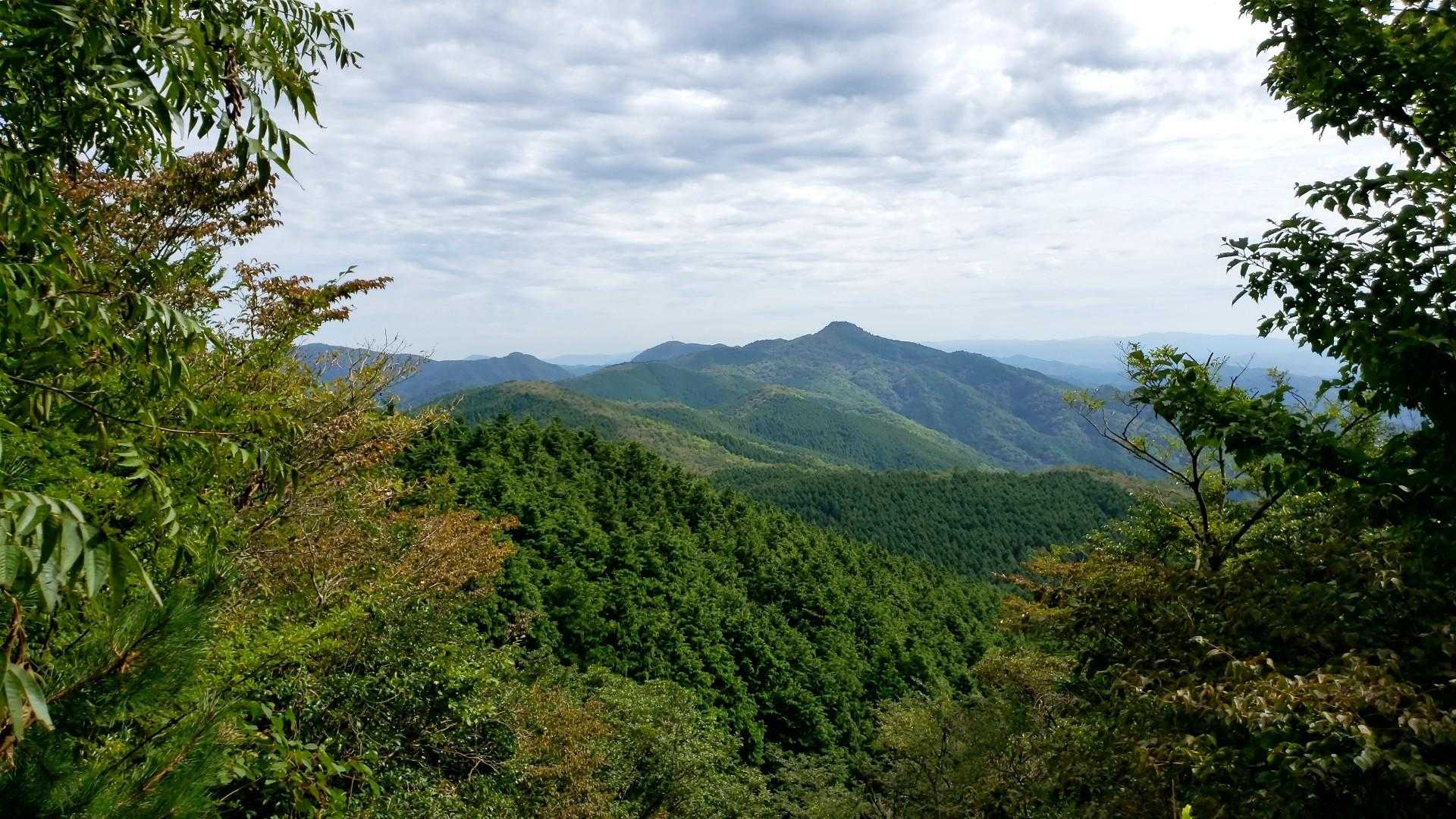 油ノ峠-西鳳翩山 往復コースの写真