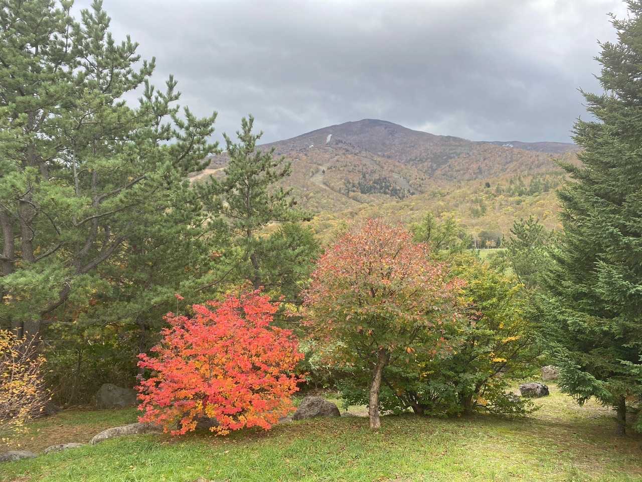 少し紅葉