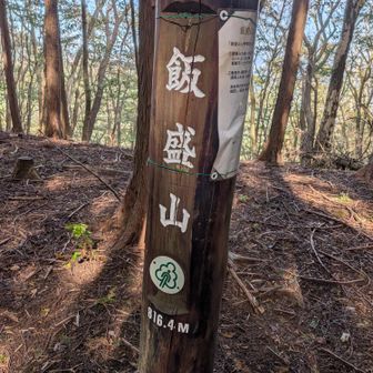 飯盛山は近くにもう一つあるらしい
間違えないよう横に注意書きがあります