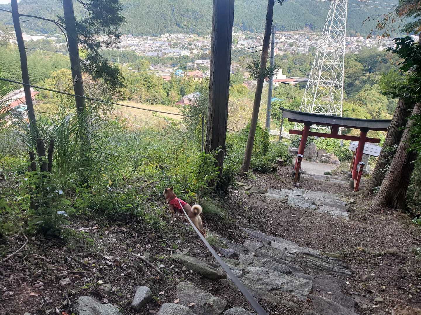 歩きずらい石段を降りる