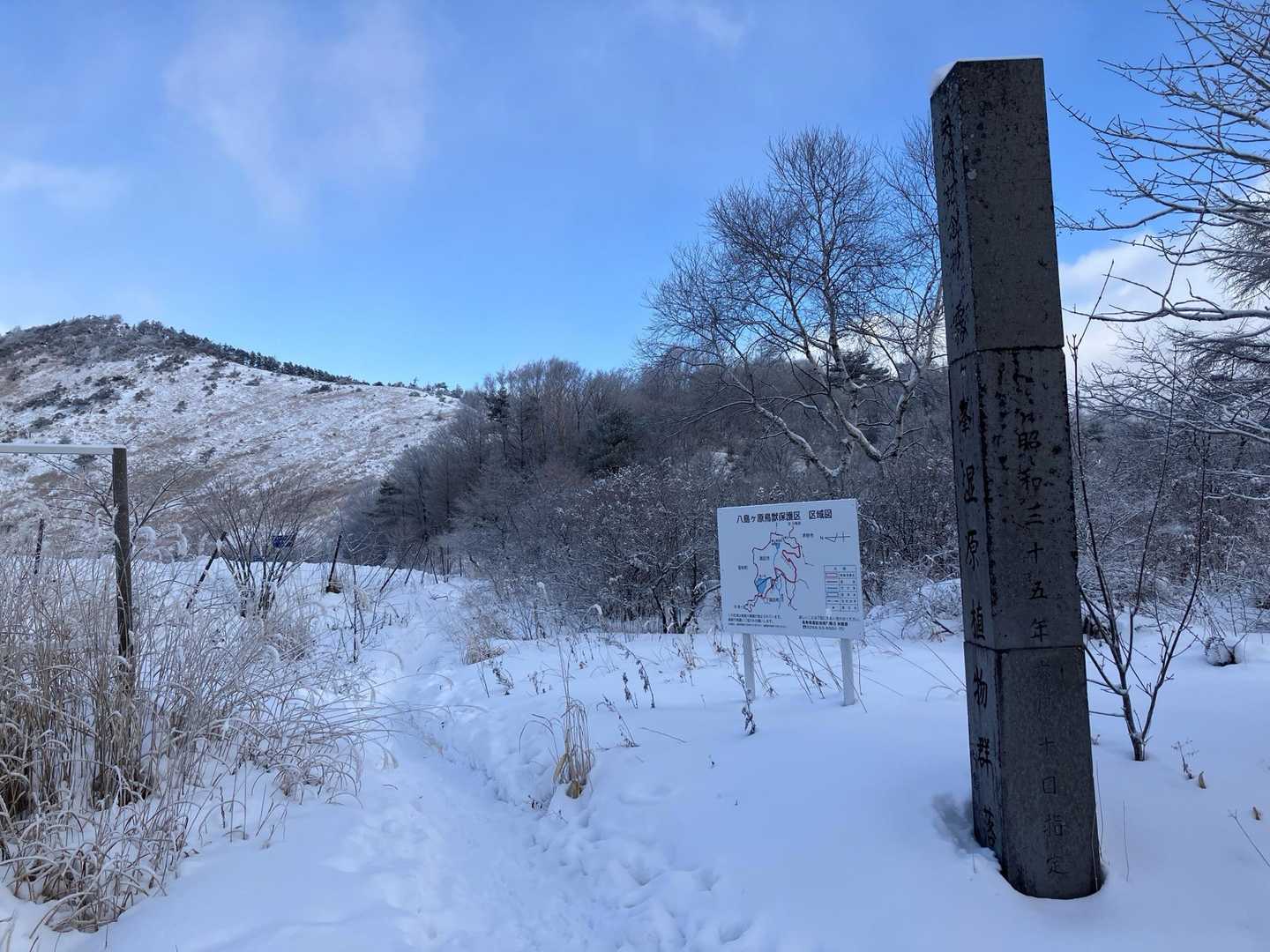 雪がチラチラ降ってます。