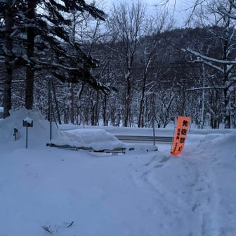 夏は、ヒグマ怖くて、ソロでは来れない😭