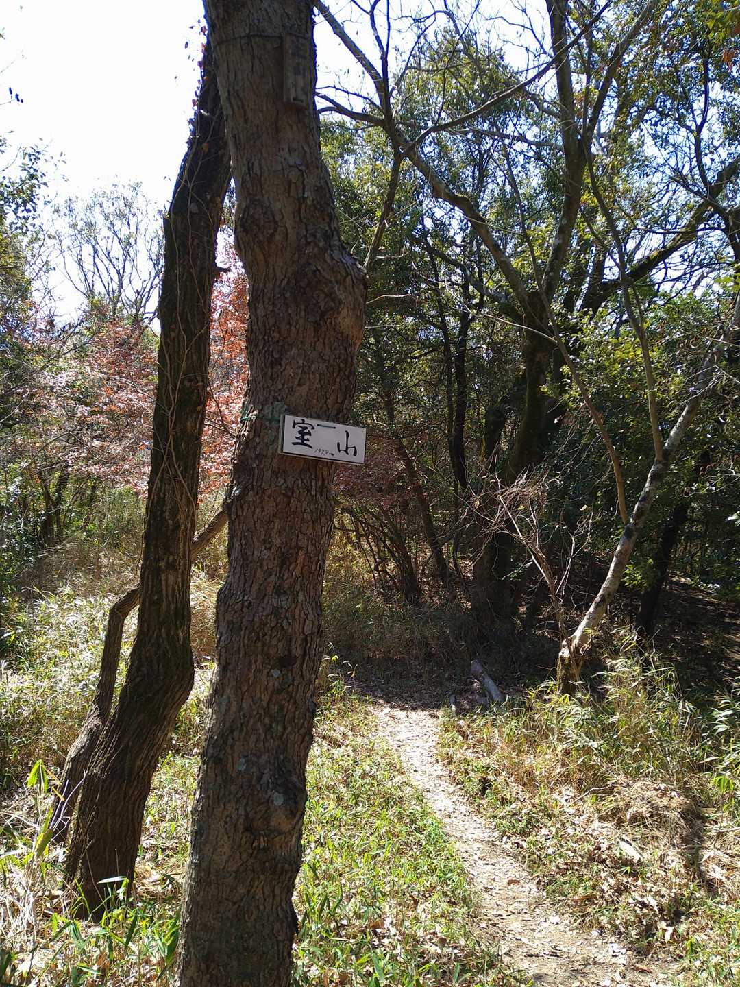 稲荷山登山口-稲荷山-室山 縦走コースの写真