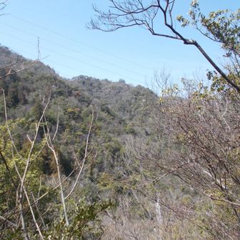 観音山方向の斜面。あっちも結構厳しそう。