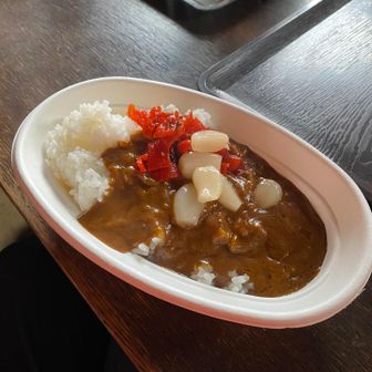 蛭カレー食べました。腹が減っていてあっという間に完食。美味しかった〜。