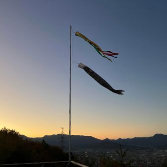 鯉のぼりの元気に泳いていました。