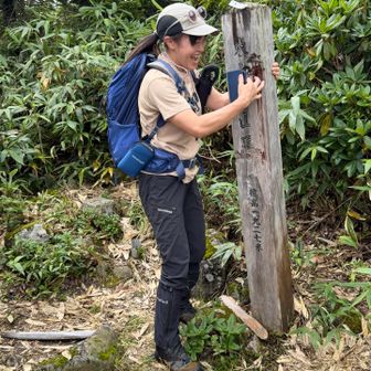 東大顚山頂は木々に覆われる場所に⛰️はとさん山百93座目おめでとうございます〜
標柱は🐻さんガリガリ跡でボロボロ、決してはとさんがガリガリやって壊してる訳ではない🤣