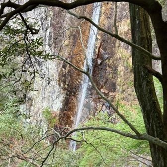 観音滝
落差が大きすぎて、上から下まで収まらない😅