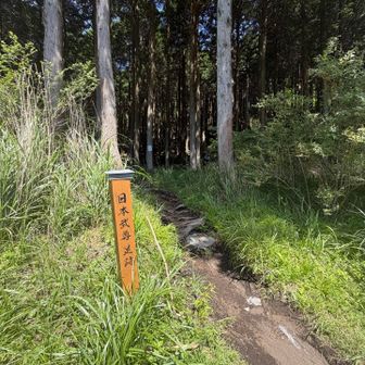 日本武尊足跡ルートで
はじめて歩きます