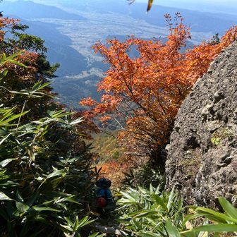 迂回から大日岳の分岐点に到着。ここから迂回路は激登り、または激降り。