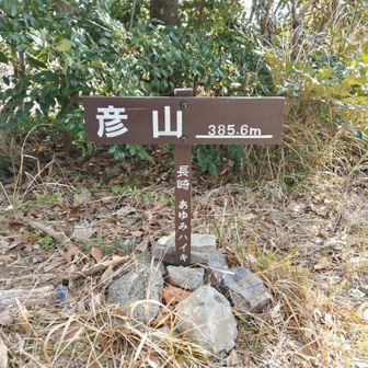 385,6mの彦山です。
二つ有ります。山頂が・・。