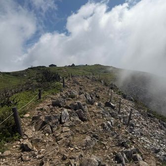 山頂へ