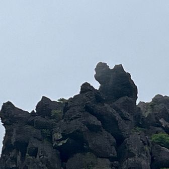 諏蛾守越を目指しているとゴリラ岩が！