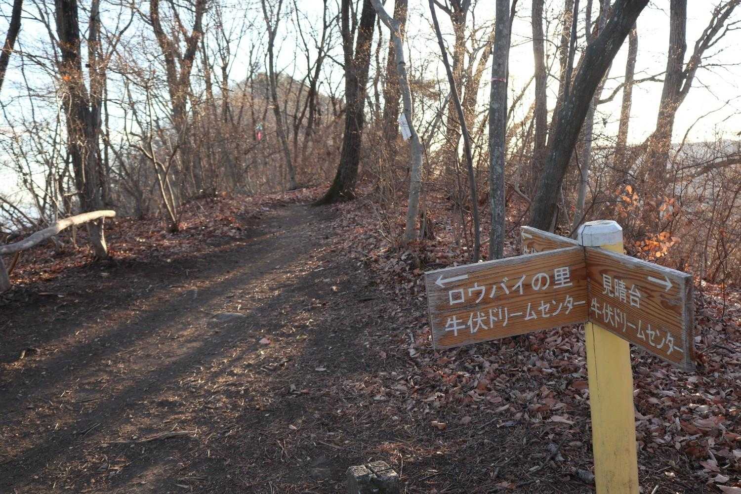 牛伏山 周回コースの写真