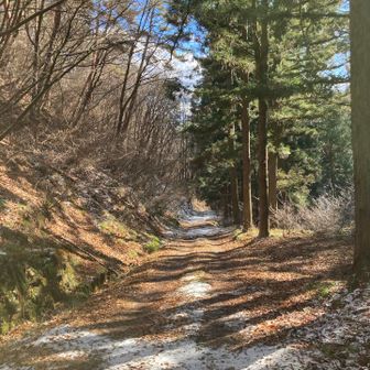 雪も少なく❄️❄️