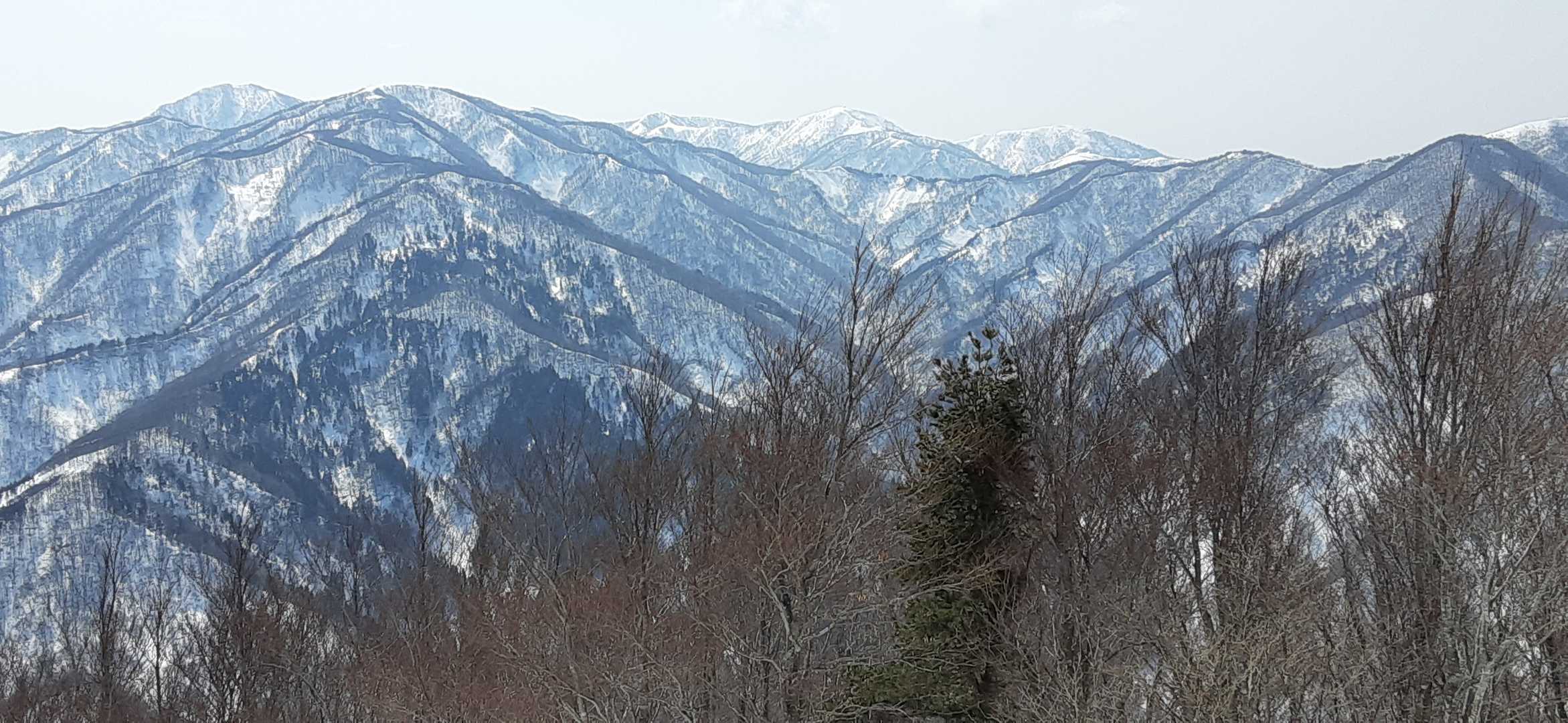 藤倉　(奥に)丈競山