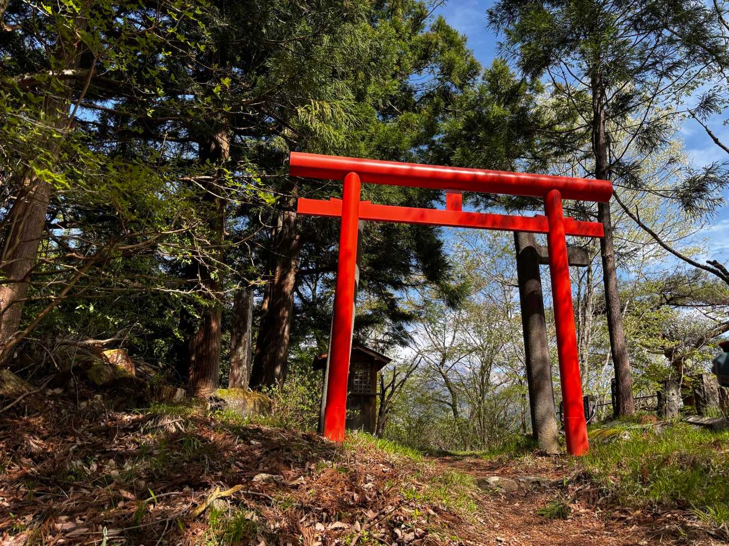登山口からすぐの所に目立つ真っ赤な鳥居
奥に小さなお社もありました
登山安全祈願🙏