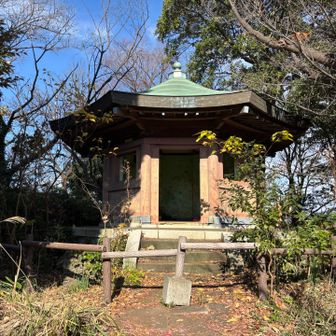 山があるとはYAMAP見るまで知らなかったので